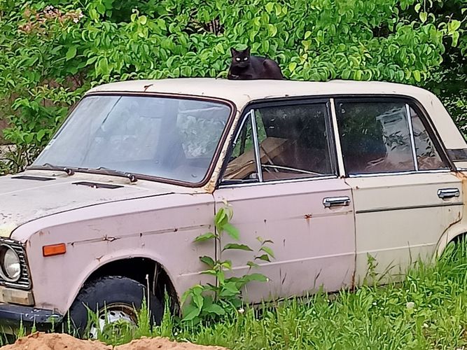 car