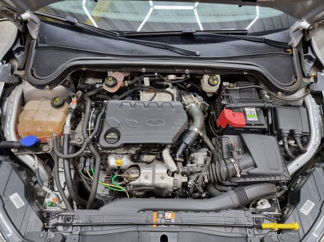 Ford Focus IV, 2019