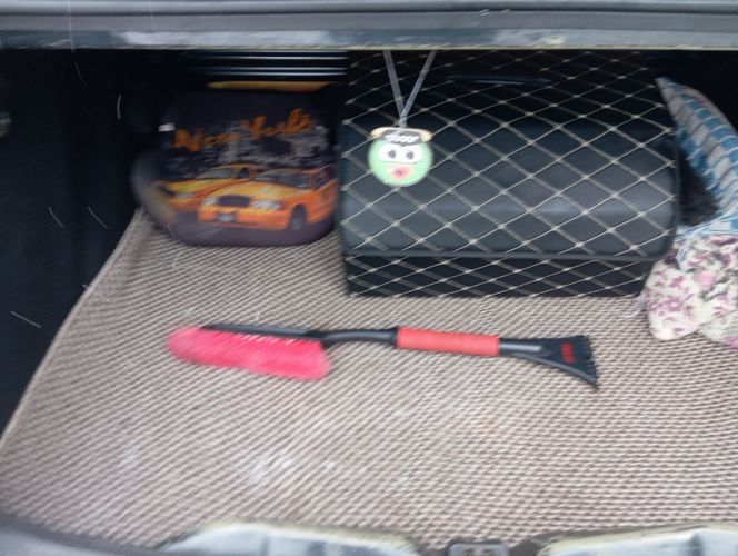 Dacia Logon 1